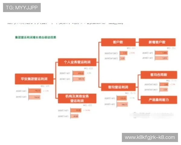 全面解析AG厅总部会员登录界面功能，提升您的登录效率和账号安全感