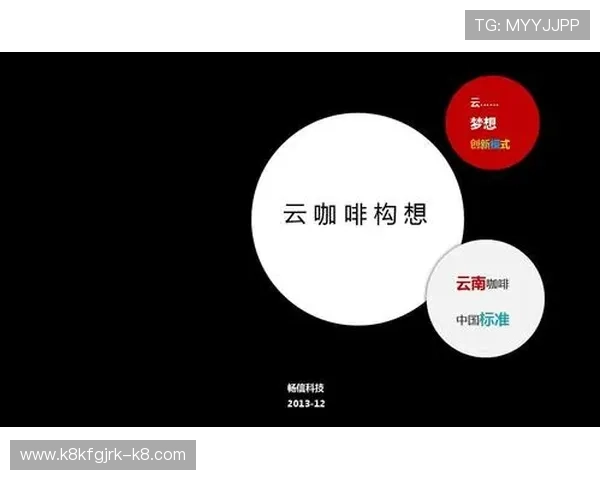 开云体育首页的功能介绍，满足广大用户的需求与选择