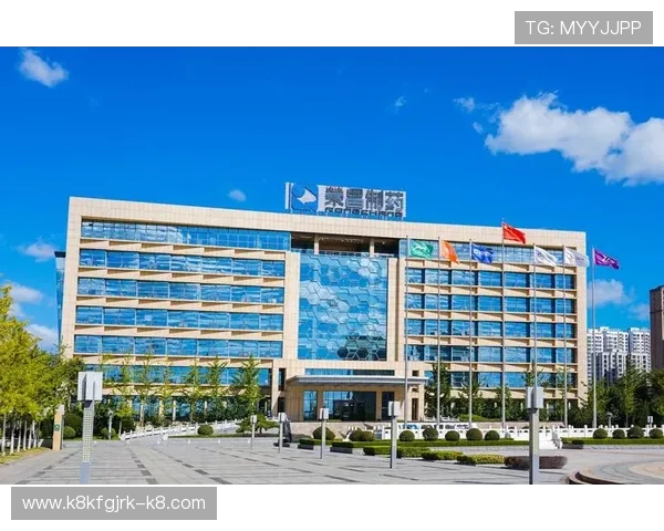 凯发k8娱乐官方平台安全保障措施全面升级确保玩家资金与信息安全