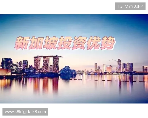 新加坡凯发官网积极响应行业发展推动本地在线娱乐产业升级